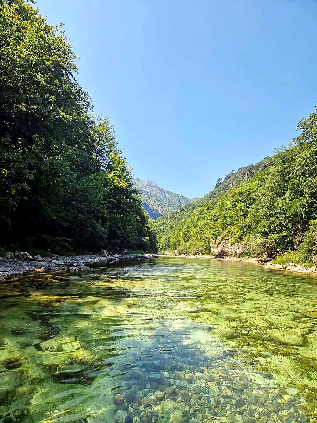 Kupanje i druženje